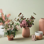 Eucalyptus Flowering Pink 53cm - Pure Apotheca