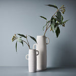 Eucalyptus Seed Spray Grey Green 50cm - Pure Apotheca