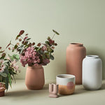 Eucalyptus Silver Dollar Bush Pink Grey 55cm - Pure Apotheca