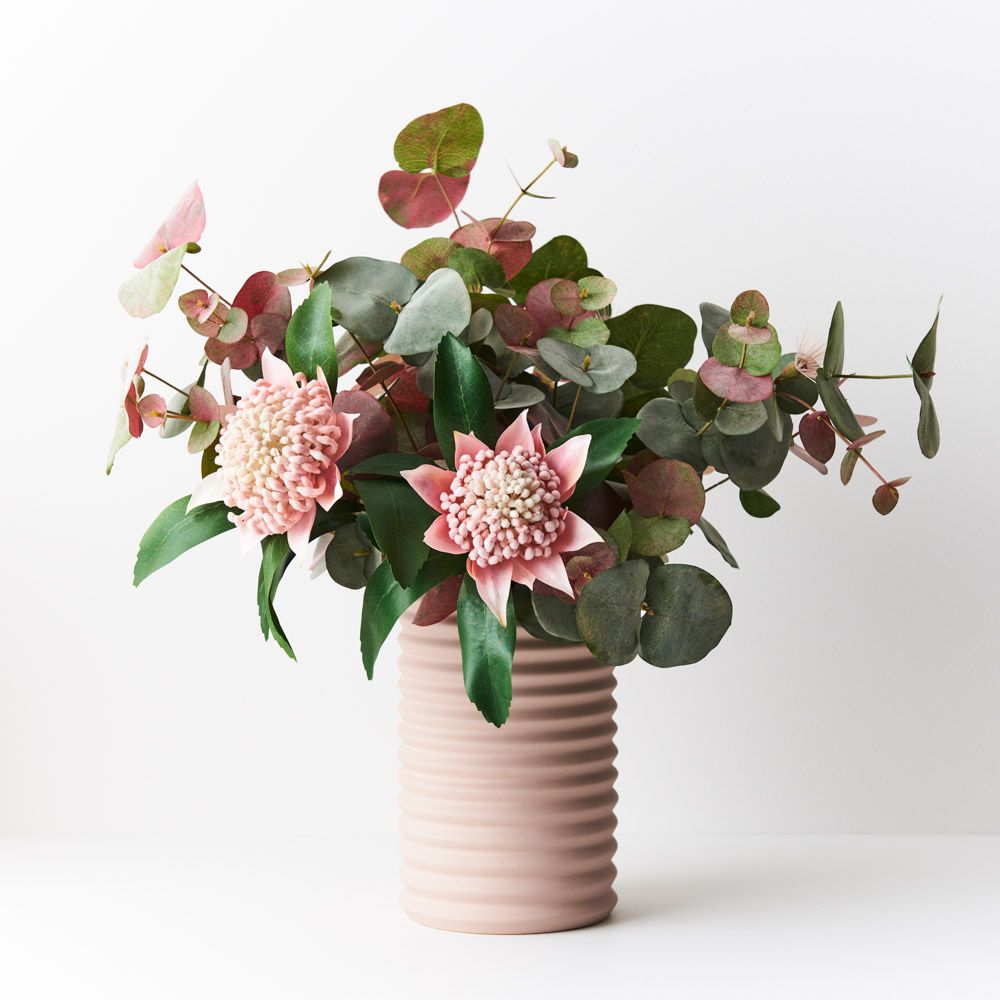 Eucalyptus Silver Dollar Bush Pink Grey 55cm - Pure Apotheca