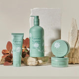 Flannel Flower Body & Hand Creme 500ml - Pure Apotheca