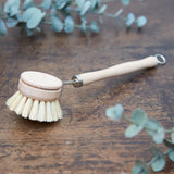 Kitchen Scrubbing Brush - Pure Apotheca