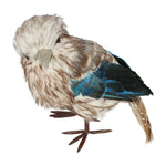 Kookaburra Large - Pure Apotheca