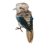 Kookaburra Large - Pure Apotheca