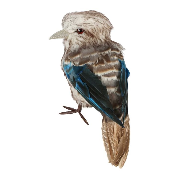 Kookaburra Large - Pure Apotheca