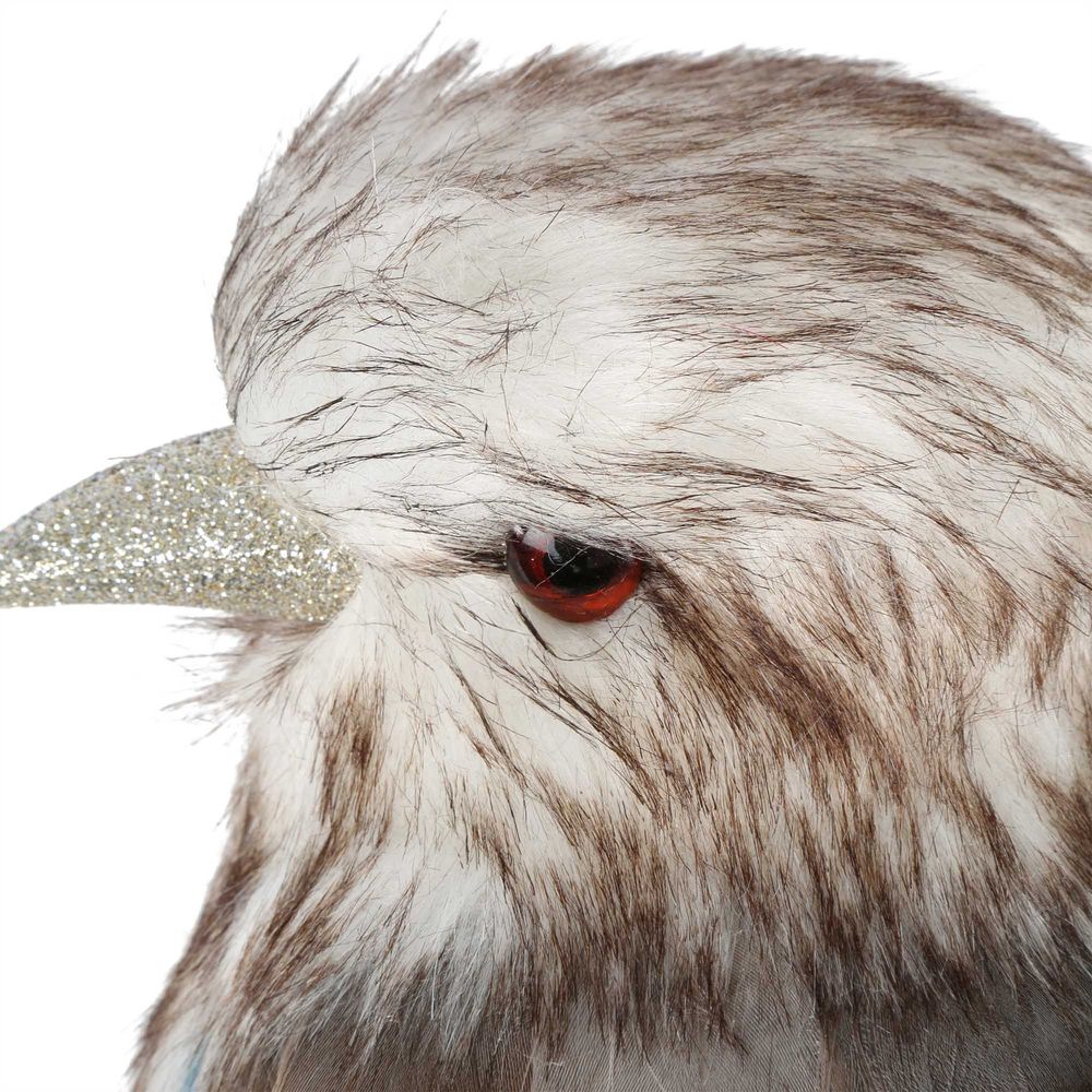 Kookaburra Large - Pure Apotheca