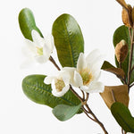 Magnolia Pearl Spray White 61cm - Pure Apotheca