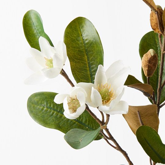 Magnolia Pearl Spray White 61cm - Pure Apotheca