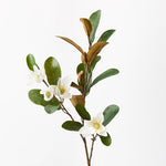 Magnolia Pearl Spray White 61cm - Pure Apotheca