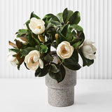Magnolia White 60cm - Pure Apotheca