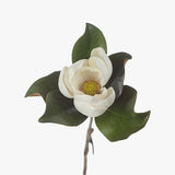 Magnolia White 60cm - Pure Apotheca
