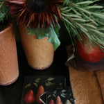 Raphael Pears Coasters Set/4 - Pure Apotheca