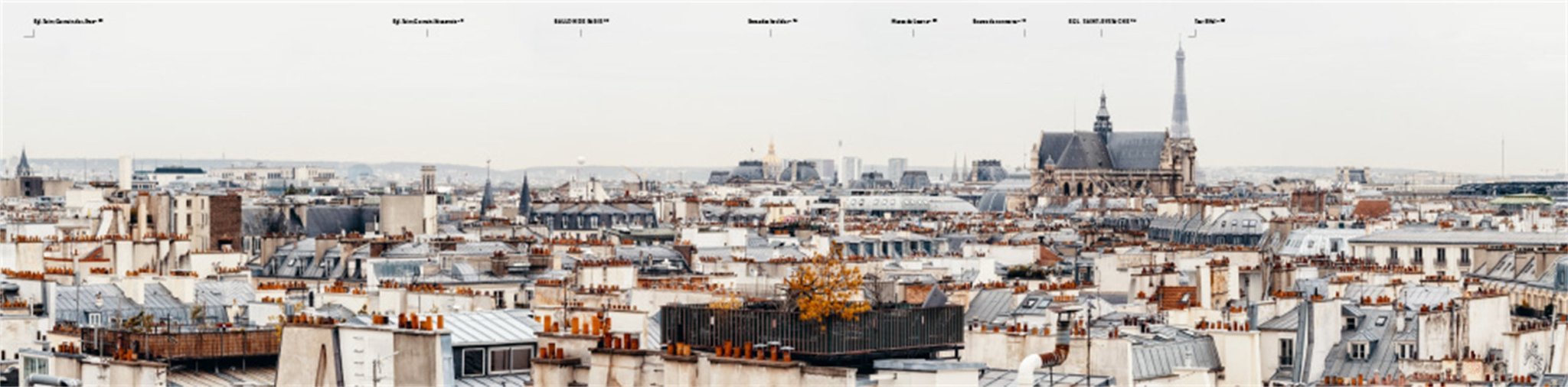 Rooftop Paris - Pure Apotheca