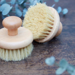 Round Body Brush - Pure Apotheca