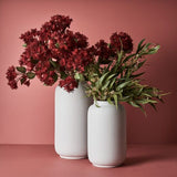 Smoke Bush Spray Red 74cm - Pure Apotheca