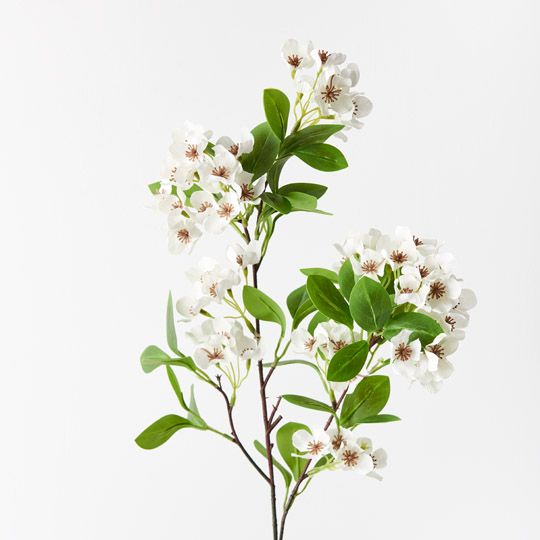 Snow Flower Spray White 80cm - Pure Apotheca